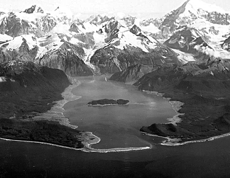 Aerial view of Lituya Bay after the 1958 tsunami, with areas of destroyed forest along the shore